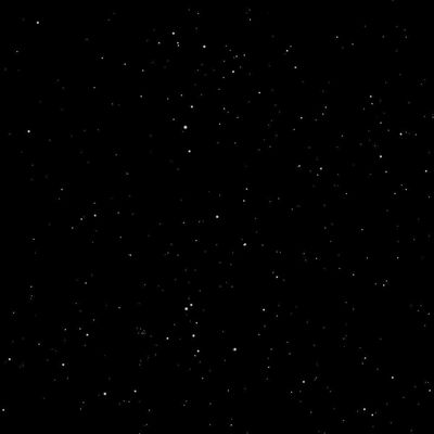 blacklilrosenm thumbnail