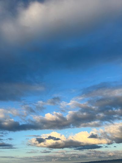 shykittyxxx thumbnail