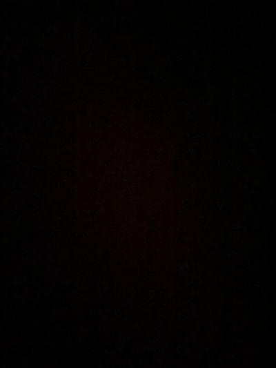 primrosebelle thumbnail