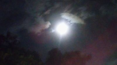 u254919514 thumbnail