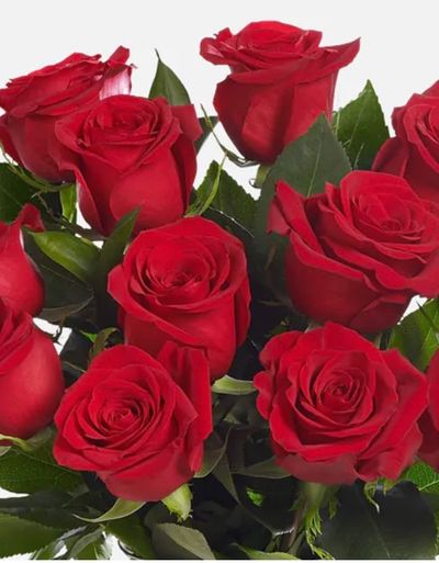 u207888160 thumbnail