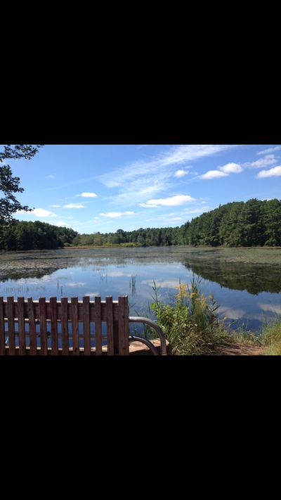 horrorfan1188 thumbnail