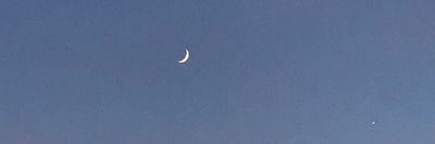 ggchachapts thumbnail