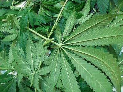 lovely.eros thumbnail