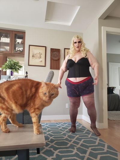 Billy the Fridge profile