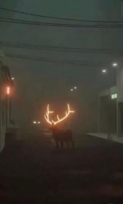 bbcspartan thumbnail