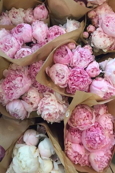 angel.bxbyy thumbnail