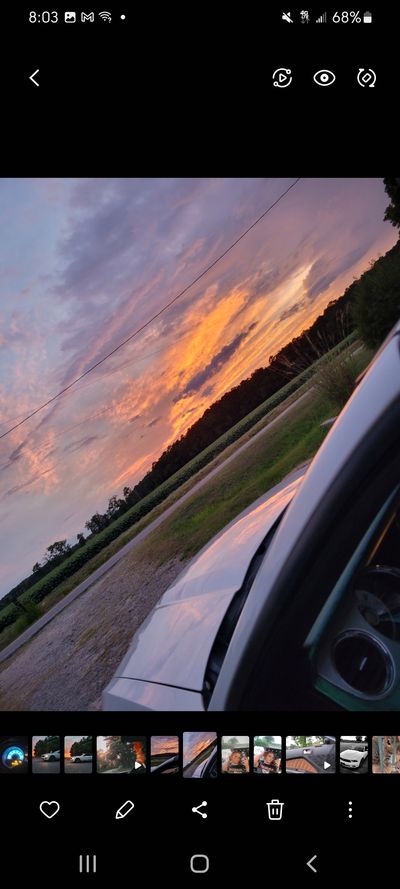 vixens.taco thumbnail