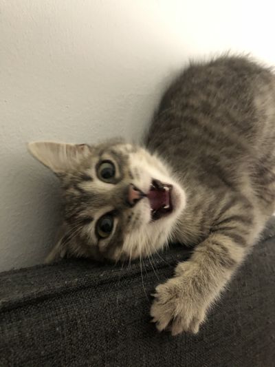 thereadingstoner thumbnail