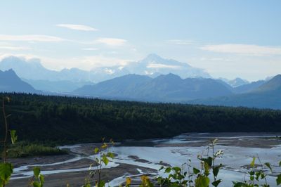 Robert Otter thumbnail