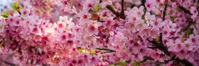 GabrielaNova thumbnail