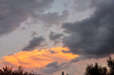 staci.wells thumbnail