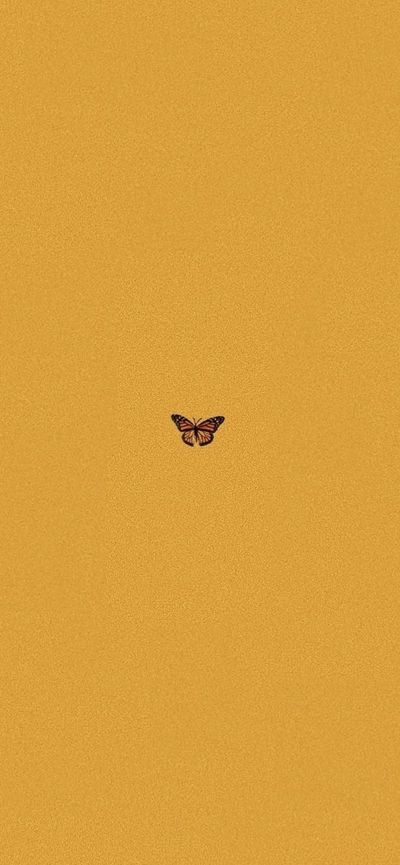 xojadeybaby thumbnail