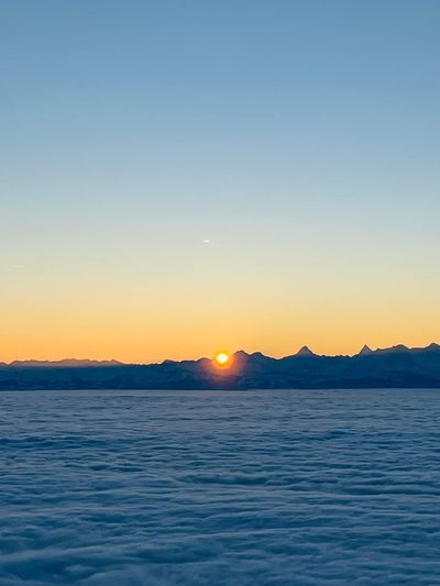 Diogo Manzoni thumbnail