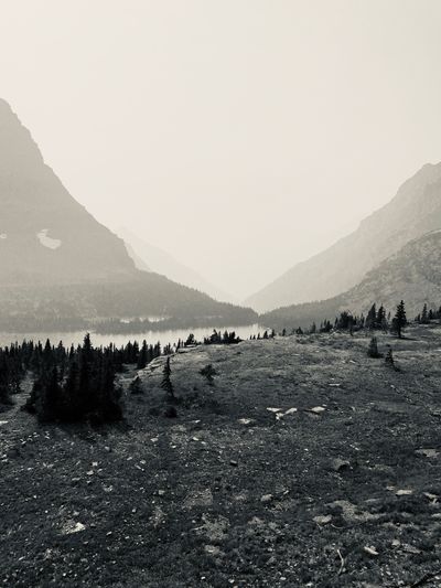 fortyyeardream thumbnail