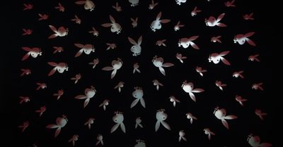 playboy.ashley thumbnail