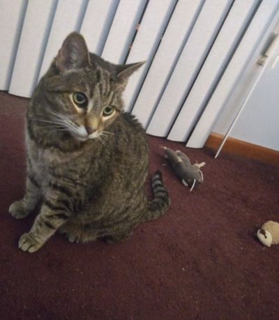 u181289777 thumbnail