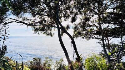 realandymendoza thumbnail