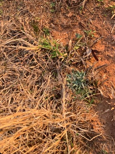 fundmoneybear thumbnail