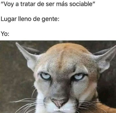 u190410502 thumbnail