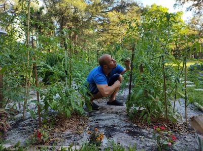 mrfoxeatsbox thumbnail