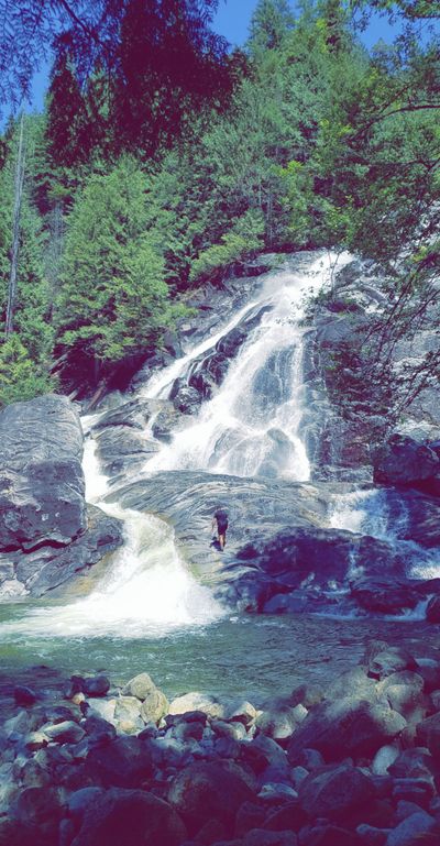 young_buck_canuck thumbnail