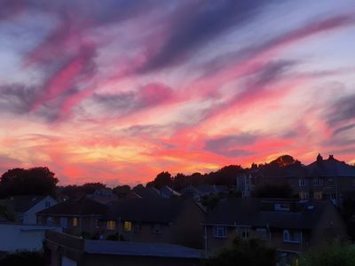 todd-hydra thumbnail