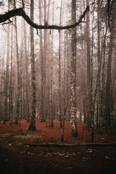 baabbyygirrlll thumbnail