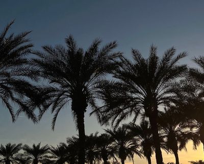 angelfaceinlaces thumbnail