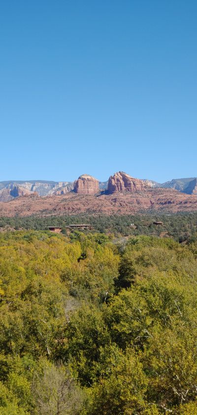 ryanblackof thumbnail