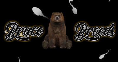 brucebreeds thumbnail