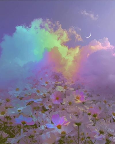 kittykatx33 thumbnail