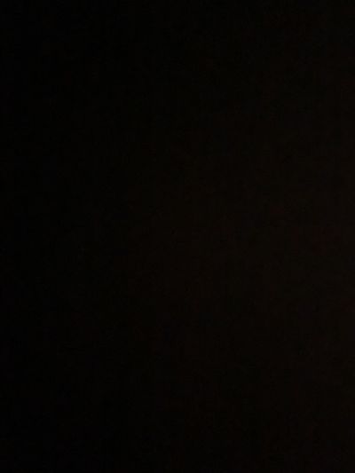 ivoryexotic thumbnail