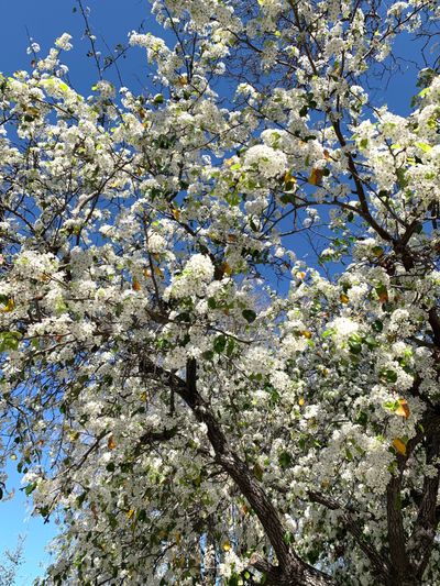 Cute little toes thumbnail