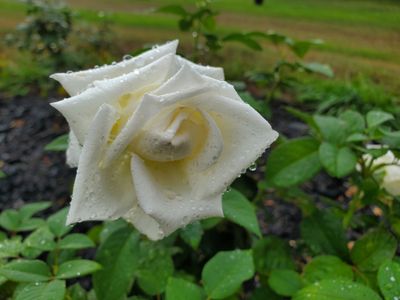 babycakumz thumbnail