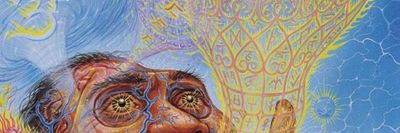 imreallyreallyreal thumbnail