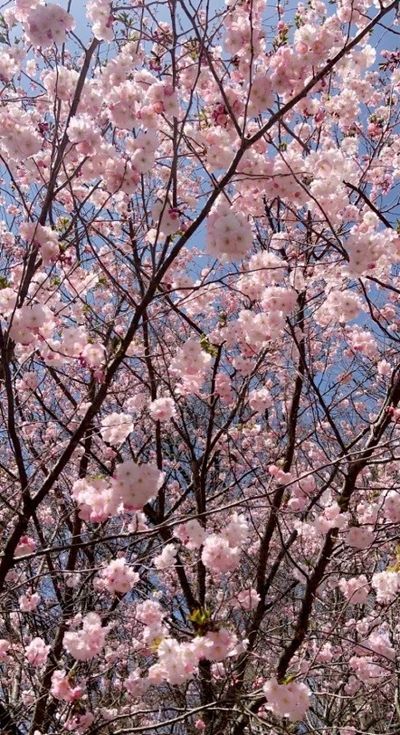 capriceun21 thumbnail