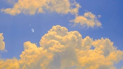 u270598793 thumbnail