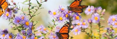 favoritesecret1 thumbnail