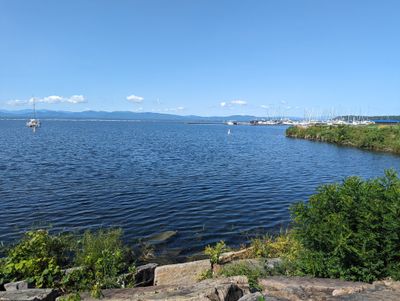 maskedjoker thumbnail