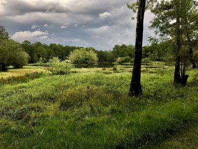 bbwqueen42066 thumbnail