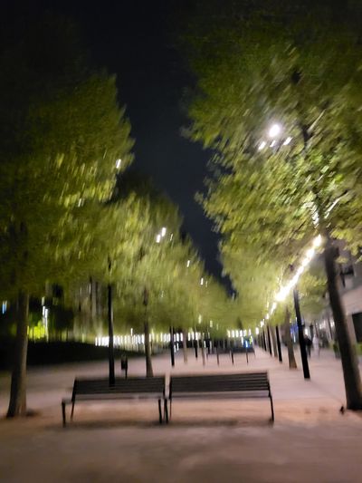 kittylovemitten thumbnail