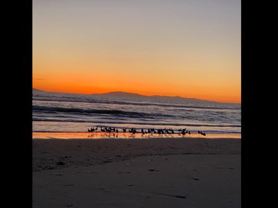 jessiesatia14 thumbnail