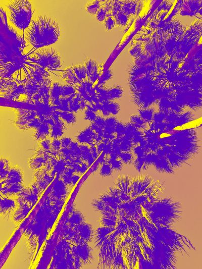 latinojockxxx thumbnail