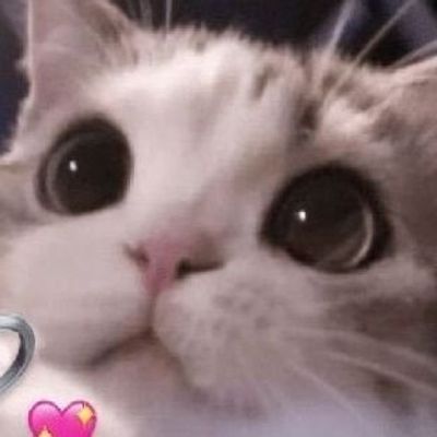 hunterdxxx thumbnail