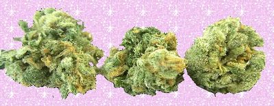 p1nkskunkz thumbnail