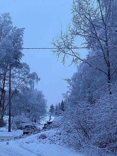 🍡  🎀  𝒞𝓊𝓉𝑒 𝓅𝑒𝓉𝒾𝓉𝑒 𝓇𝑒𝒹𝒽𝑒𝒶𝒹  🎀  🍡 thumbnail