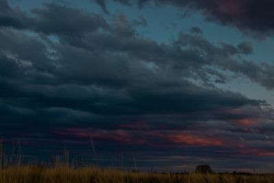 Frankie Myer thumbnail