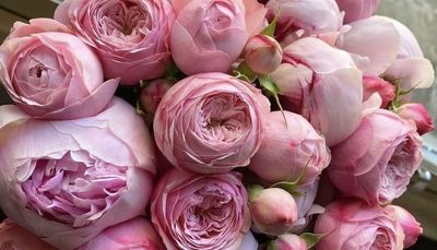 𝐌𝐢𝐤𝐤𝐢 ♡ thumbnail