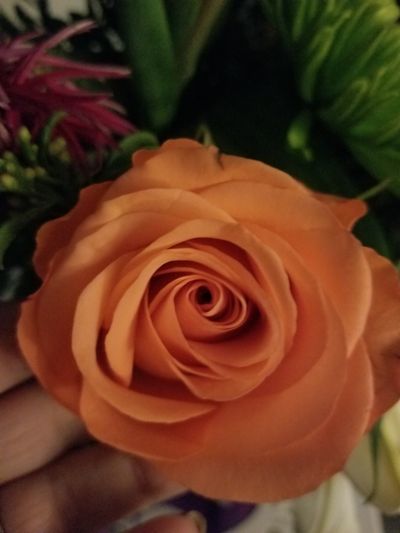 lilkinkster thumbnail